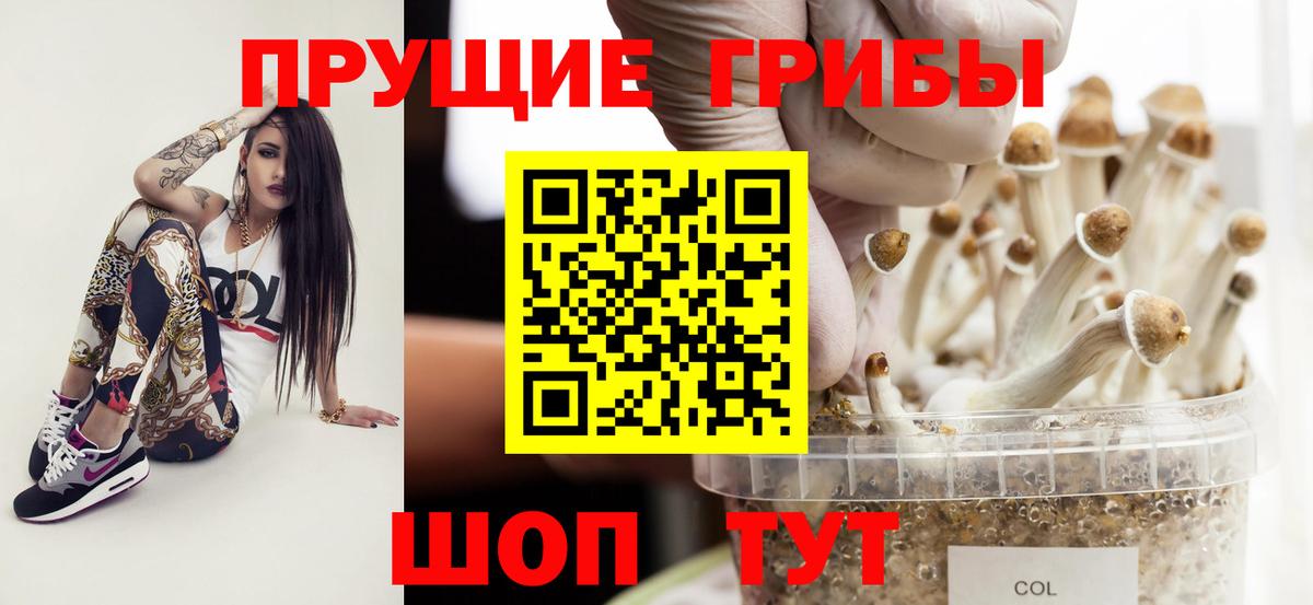 Рузаевка  Псилоцибиновые грибы GOLDEN TEACHER  Вход с VPN 