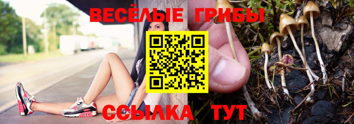 Псилоцибиновые грибы Magic Shrooms Рузаевка